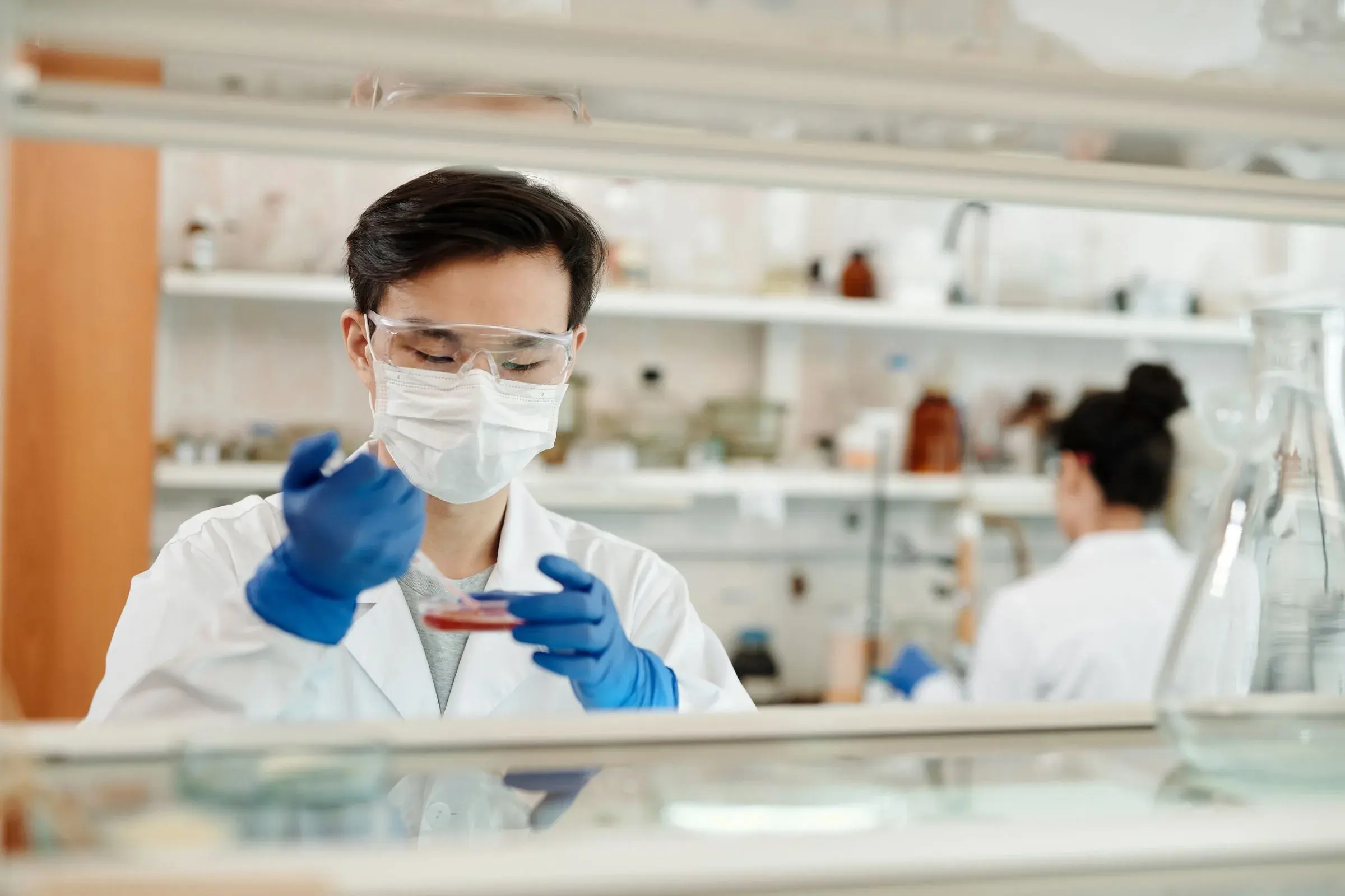A scientist pipetting by hand into a dish, still on the bench.