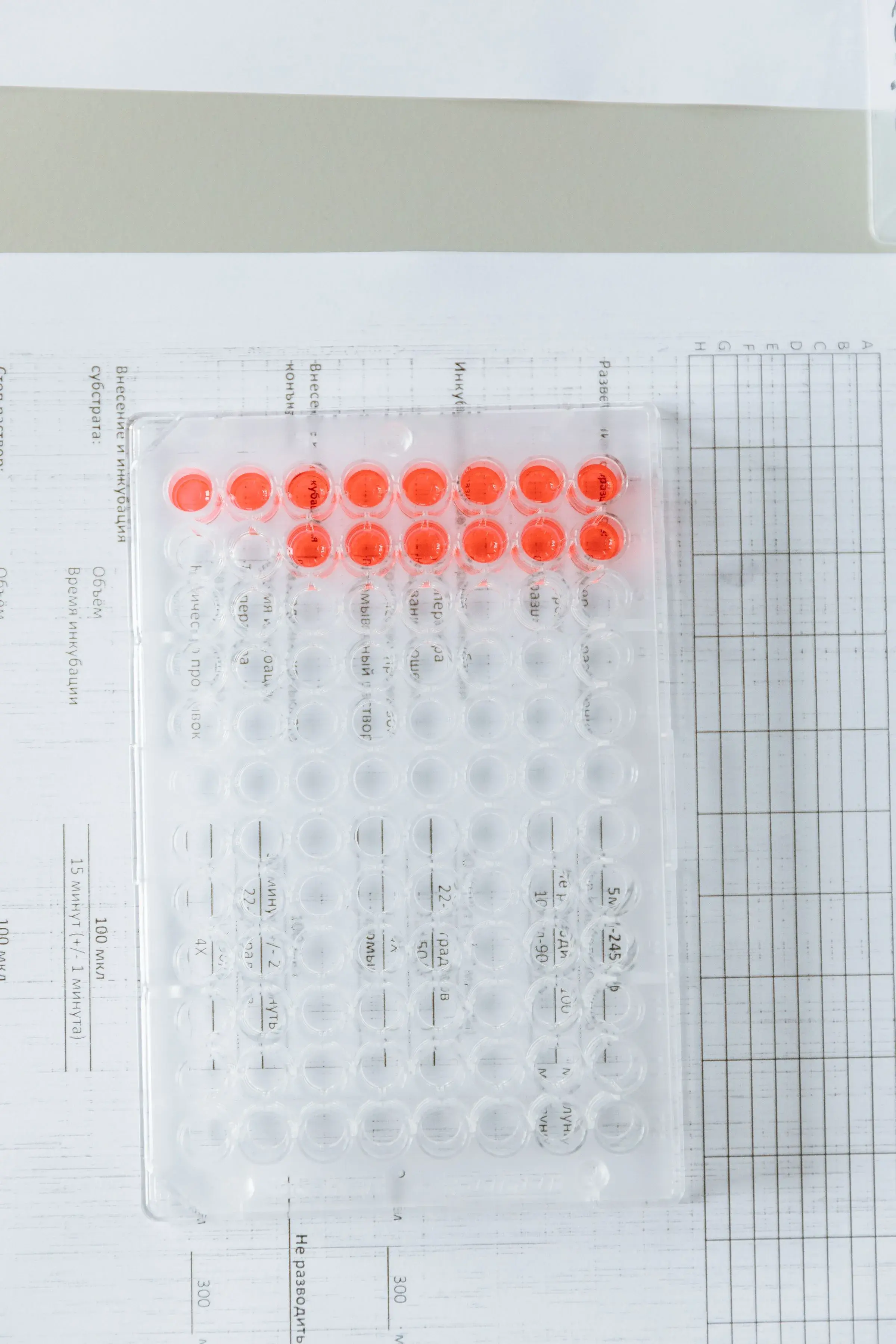 A 96-well plate with the top rows filled, sitting on a protocol sheet.