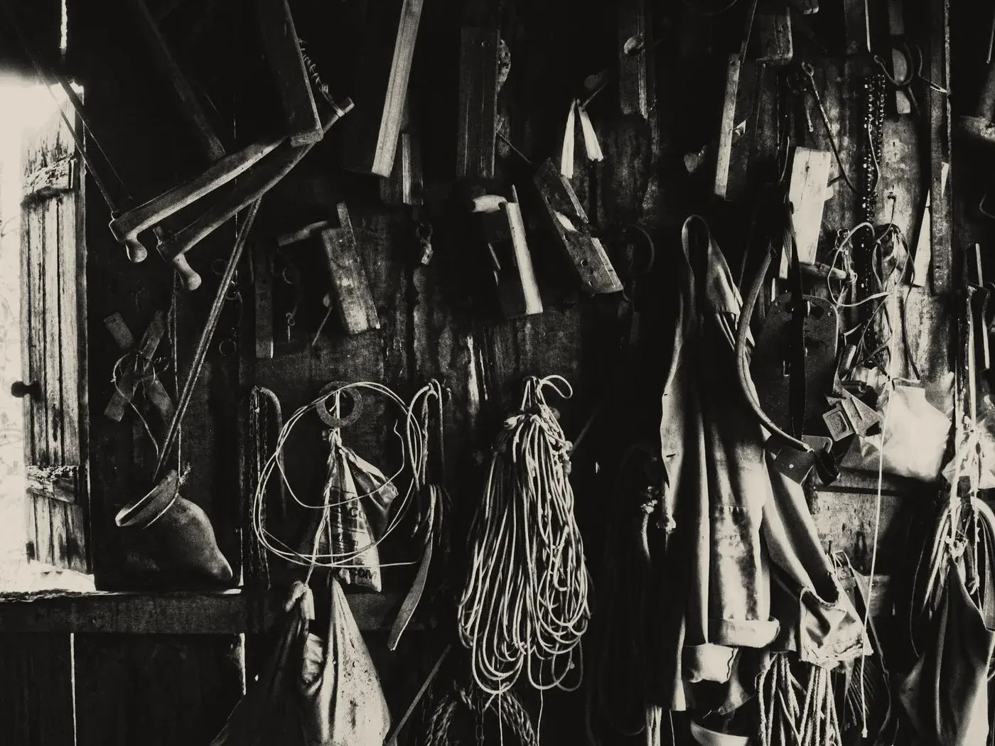 A workshop wall hung with rows of tools, more than anyone would remember buying.
