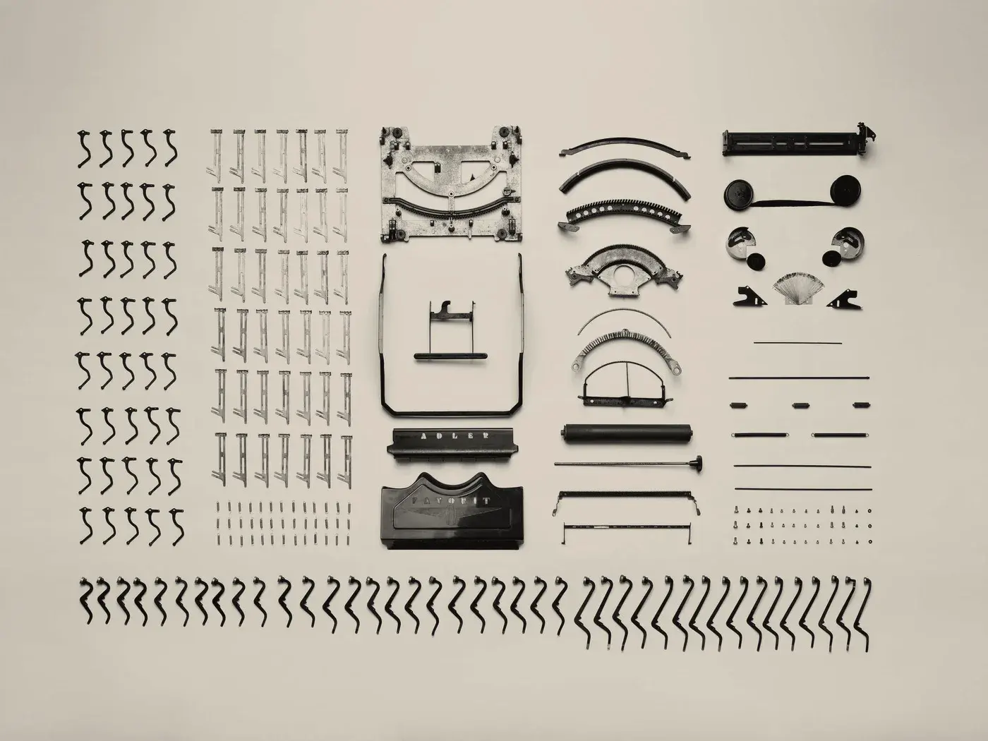A specimen sheet: rows of printers' ornaments and rules laid out and photographed from above.